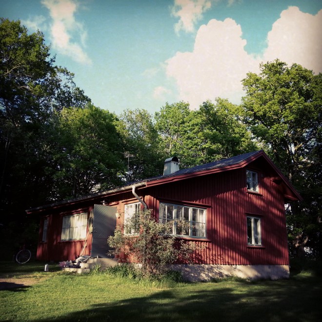 IMG_20130528_191104[1]