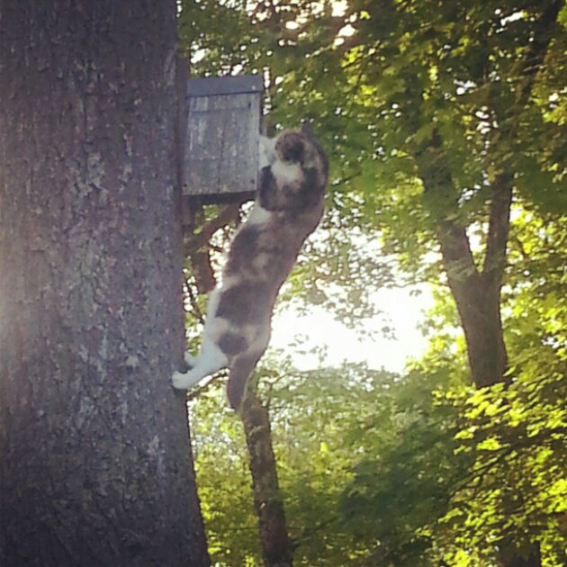 IMG_20130610_201848.jpg image