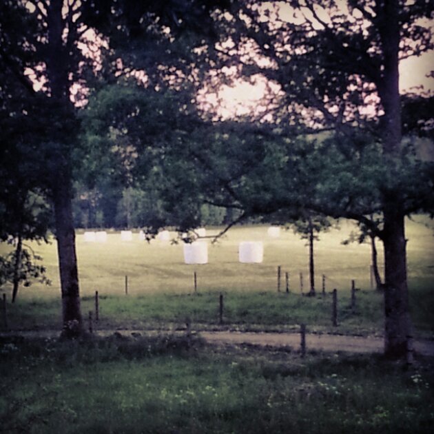 IMG_20130611_215120.jpg image