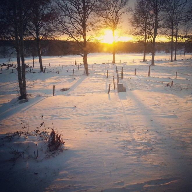 IMG_20131206_193939[1]