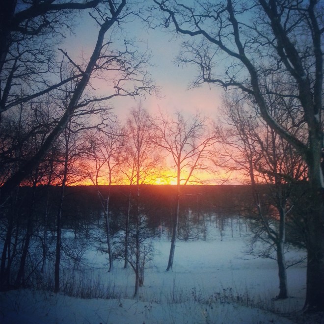 IMG_20131208_083317[1]