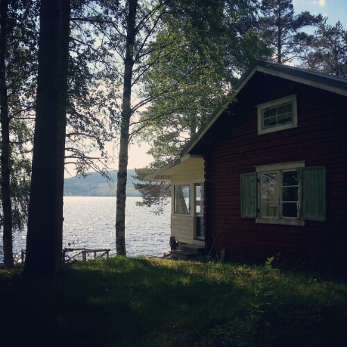 IMG_20140713_064501.jpg image