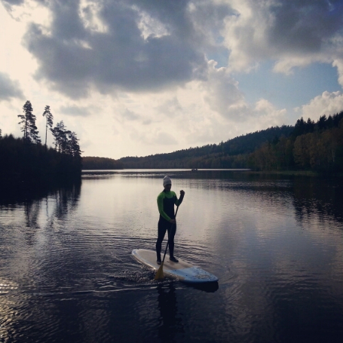 IMG_20141011_144007.jpg image